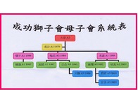 點我放大